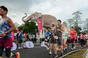 BIB: 
                            <button type="button" onclick="openModal(26528299)" class="btn btn-primary btn-sm float-right btn-popup" data-toggle="modal" data-target=".modal-high-quality">
                        <i class="fas fa-shopping-cart"></i> Add to Cart
                    </button>
                                            <button type="button" onclick="isThisMe(26528299, true)" class="btn btn-success btn-sm float-right btn-popup btn-isme hidden" data-toggle="tooltip" data-placement="bottom" title="นี่คือรูปของคุณใช่ไหม คลิกที่นี่เพื่อเอาเข้าอัลบั้ม">
                        <i class="fas fa-plus"></i> Add to album
                    </button>
                    <button type="button" onclick="isThisMe(26528299, false)" class="btn btn-warning btn-sm float-right btn-popup btn-isnotme hidden">
                        <i class="fas fa-ban"></i> Remove from album
                    </button>